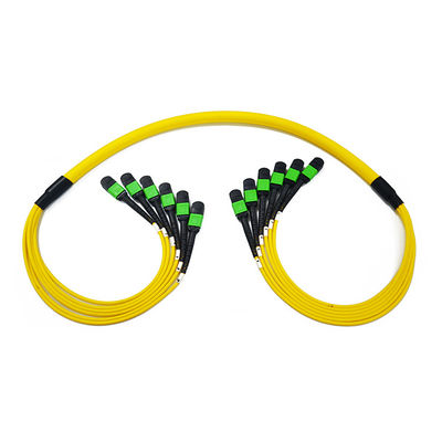 Singlemode 12 Faser-Flecken-Kabel der Faser-9/125 OS2 MTP MPO