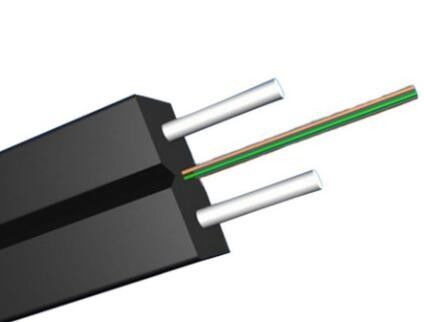 2 Kern-Einmodenfaser-Optiklamelle für FTTH